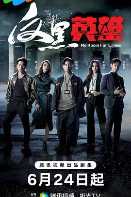 反黑英雄国语 第24集