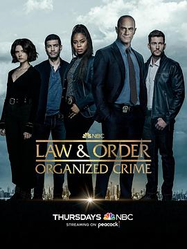 法律与秩序·组织犯罪第三季 第6集