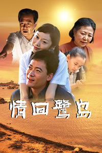 情回鹭岛(大结局)