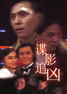 谍影追凶(大结局)