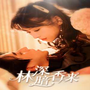 林深暗香来 全集(大结局)